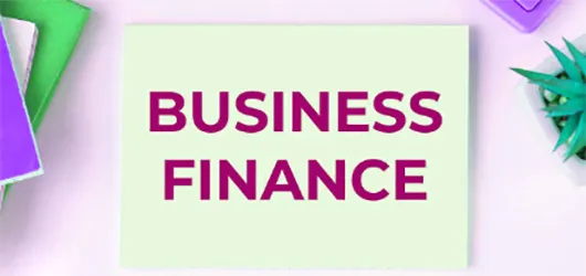 Functions of Business Finance of your Organization