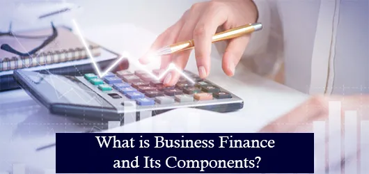 What is Business Finance and Its Components?