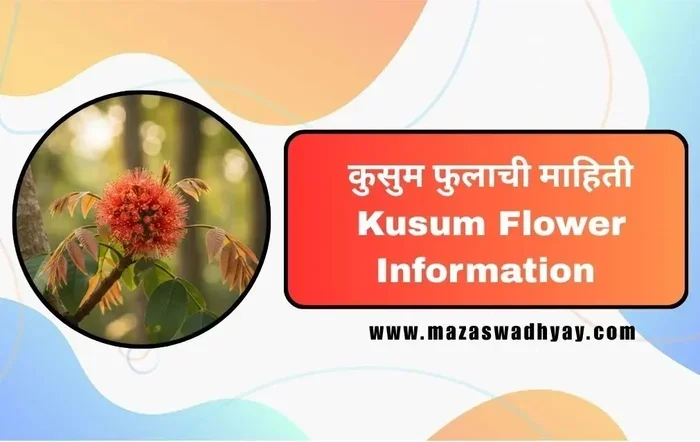 Kusum Complete Guide To Learn Everything You Need