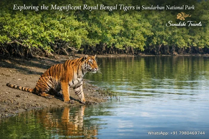 Sundorboner Baghini Guide to the Royal Bengal Tiger