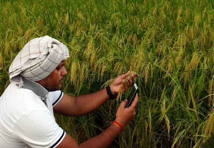 Krishak Bandhu Status Check Online Application And Benefits