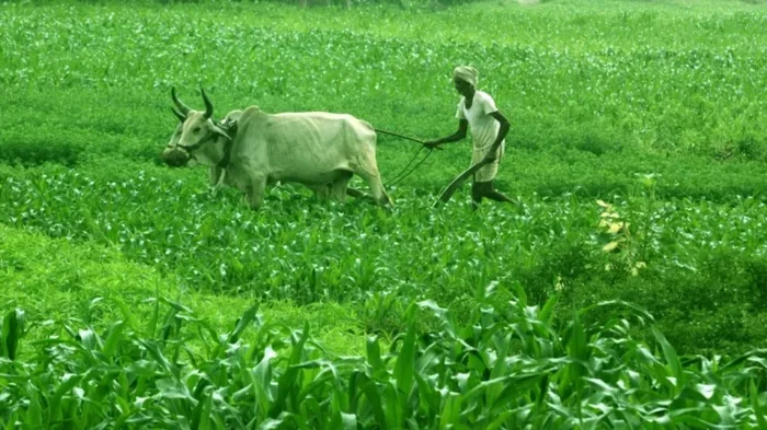 PM Kisan Scheme Complete Guide For Farmers Benefits