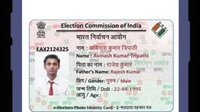 Download Election Card By Name Fast And Easy