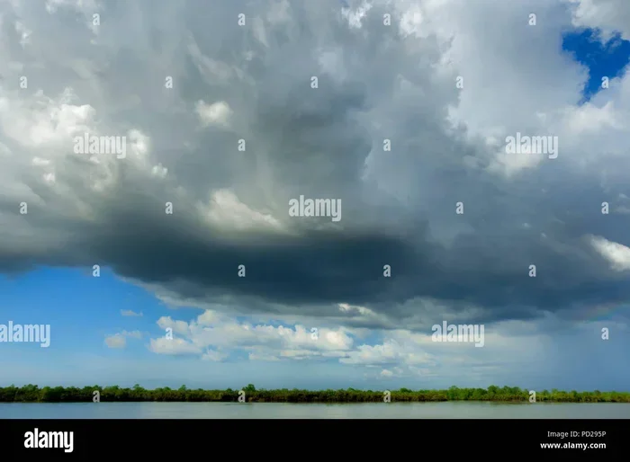 Today Weather Update West Bengal Rain Forecast and Alerts