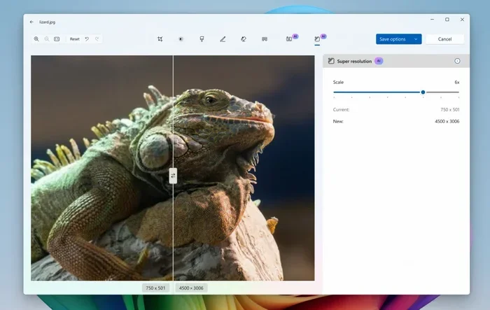 How to Convert HEIC to JPG Windows 11 Fast and Free